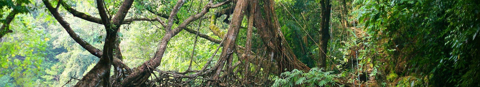 Kaziranga with Meghalaya