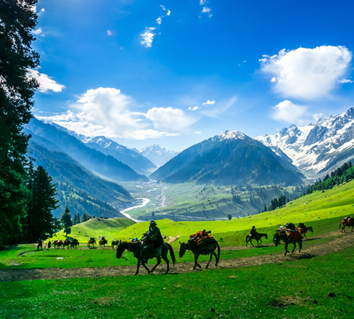 Kashmir Package 05N/06D